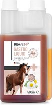 ReaVET - Gastro Liquid voor Paarden - Maag & darm formule voor je Paard - 100% natuurlijk, zonder kunstmatige toevoegingen - 500ml
