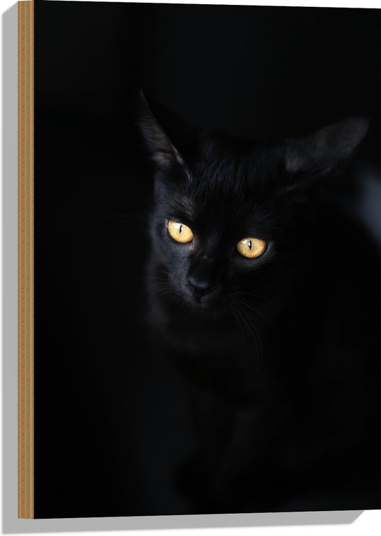 WallClassics - Hout - Zwarte Kat in het Donker - 40x60 cm - 12 mm dik - Foto op Hout (Met Ophangsysteem)
