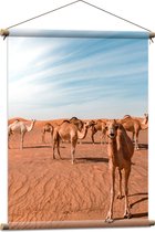 WallClassics - Textielposter - Vrolijke Kamelen in de Woestijn - 60x80 cm Foto op Textiel