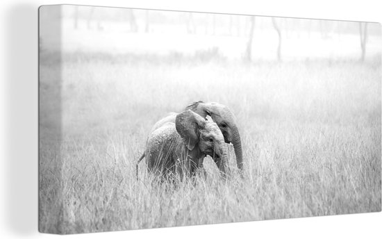Canvas Schilderij Twee baby olifanten in het gras - zwart wit - 40x20 cm - Wanddecoratie