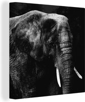 Tableau Toile Éléphant - Animaux - Zwart - Wit - 20x20 cm - Décoration murale
