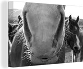 Canvas Schilderij Paard photobombt de kudde - zwart wit - 60x40 cm - Wanddecoratie
