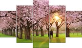 Forfait Peinture de diamants - 5 Parties Séparées - Fleur de Cerisier - 150x90 cm - Set Complet - Couverture Complète - Pierres Rondes