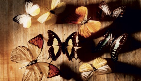 FOTAPIJT - KMC-0817 - Badmat - Bedrukte deurmat- Vloerkleed - Binnen - Termo Antislip - Wasbaar - 40x60 cm - 8 mm - Polyester