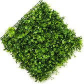 Emerald - Kunst Plantenwand Boxwood/oxalis 50x50cm - Kunstplanten voor binnen