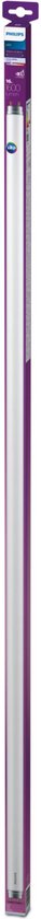 Philips Tube Linear, 16 W, 36 W, G13, 1600 lm, 15000 h, Blanc froid