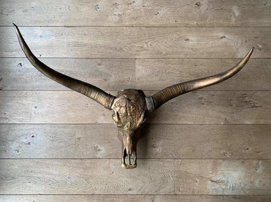 Vtw Living - Longhoorn Skull - Dierenschedel - Brons - 1 Meter