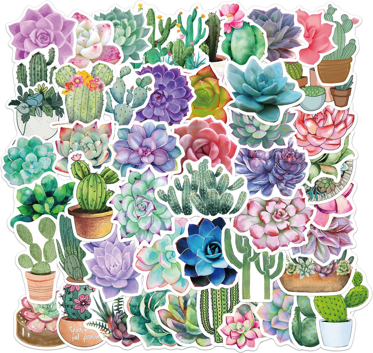 Vetplanten: de perfecte zomerplanten | Groen in huis