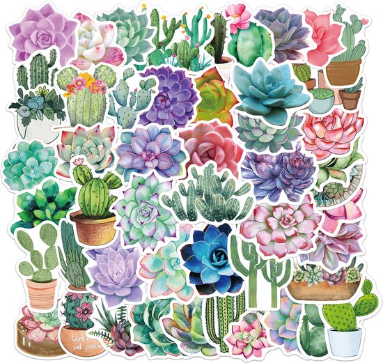 Foto: Bloemen stickers cactussen en vetplanten set 50 stuks laptop stickers stickervellen