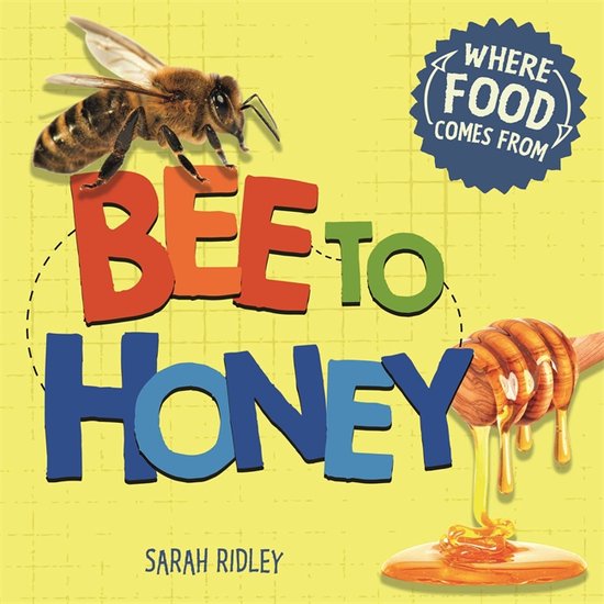 Hachette UK Bee to Honey, Anglais, Couverture rigide, 24 pages