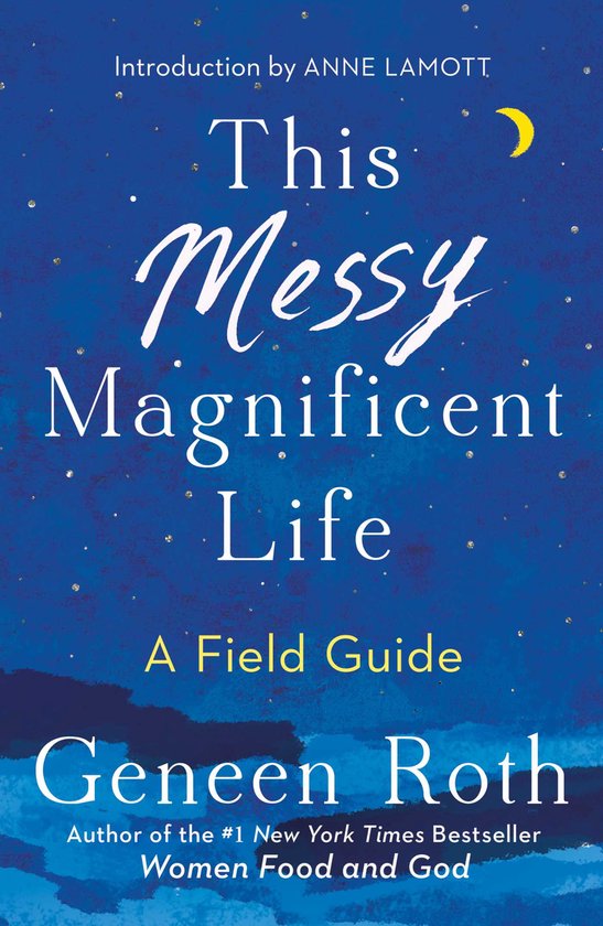 This Messy Magnificent Life - cover