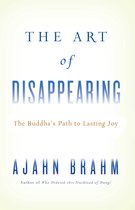 Art Of Disappearing