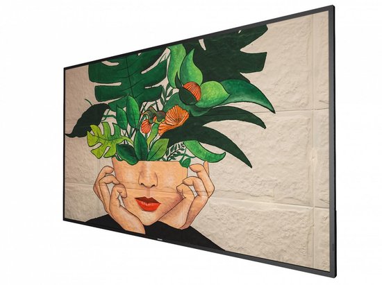 Monitor Videowall Philips 55BDL4511D/00 55" VA 55"