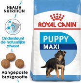 Royal Canin Maxi Junior - Hondenvoer - 10 kg