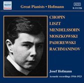 Joseph Hofmann - Acoustic Recordings 1916-1923 (CD)