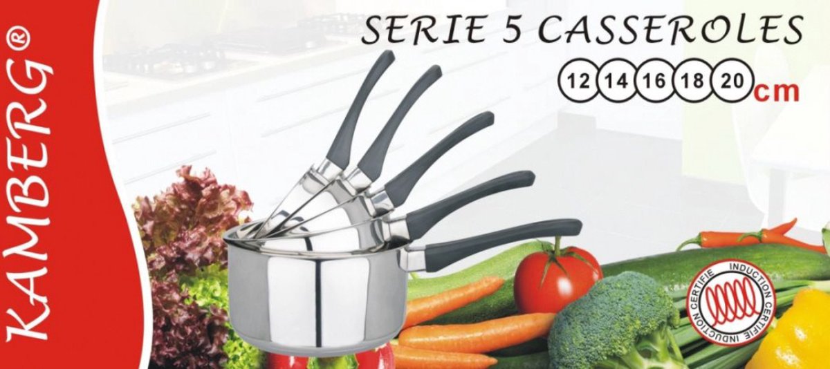 Professionnnel,5 Casseroles Inox 12-14-16-18-20 Cm Tous Feux Dont