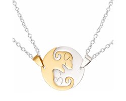foto van Fako Bijoux® - Vriendschapsketting - BFF Ketting - RVS - Hond - Yin Yang - Rond - Zilver/Goud