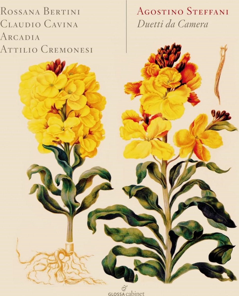 Arcadia - Steffani: Duetti Da Camera (CD)