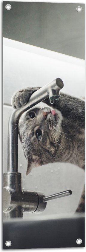 WallClassics - Tuinposter – Poes aan het Drinken uit de Kraan - 30x90 cm Foto op Tuinposter  (wanddecoratie voor buiten en binnen)