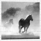 WallClassics - Muursticker - Paarden in Galop Zwart / Wit - 50x50 cm Foto op Muursticker