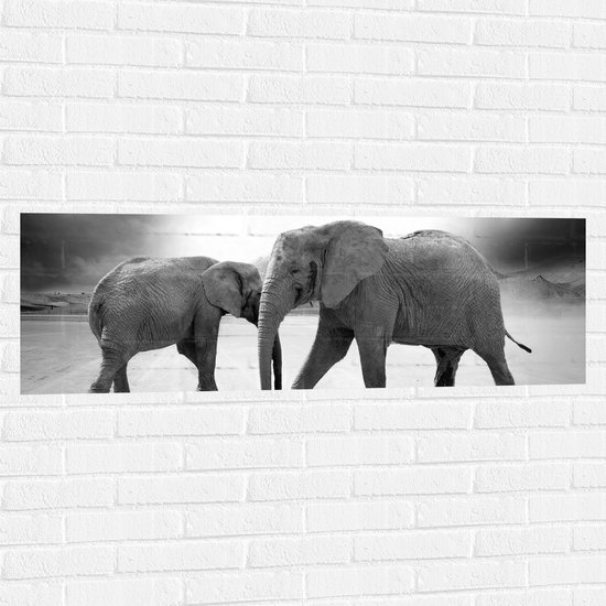WallClassics - Muursticker - Olifanten op het Zand - Zwart / Wit - 120x40 cm Foto op Muursticker