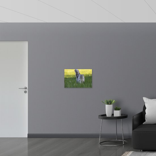 WallClassics - Toile - Chat gris dans l'herbe - 60x40 cm Photo sur toile (Décoration murale sur toile)