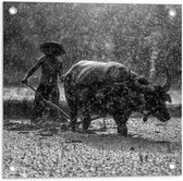 WallClassics - Tuinposter – Aziatische Boer aan het Werk in de Regen Zwart / Wit - 50x50 cm Foto op Tuinposter  (wanddecoratie voor buiten en binnen)
