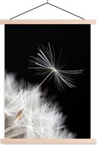 Porte-affiche avec affiche - Affiche scolaire - Bloem - Pissenlit - Plante - 120x160 cm - Lattes vierges