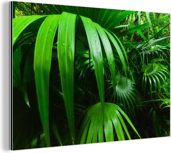 Wanddecoratie Metaal - Aluminium Schilderij Industrieel - Palmbladen in de jungle - 90x60 cm - Dibond - Foto op aluminium - Industriële muurdecoratie - Voor de woonkamer/slaapkamer