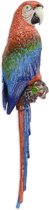 Gietijzeren wanddecoratie - Ara vogel papegaai - Kleurrijk geschilderde vogel - 64,9 cm hoog