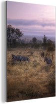 Wanddecoratie Metaal - Aluminium Schilderij Industrieel - Nationaal Park Kruger in Zuid-Afrika - 40x60 cm - Dibond - Foto op aluminium - Industriële muurdecoratie - Voor de woonkamer/slaapkamer
