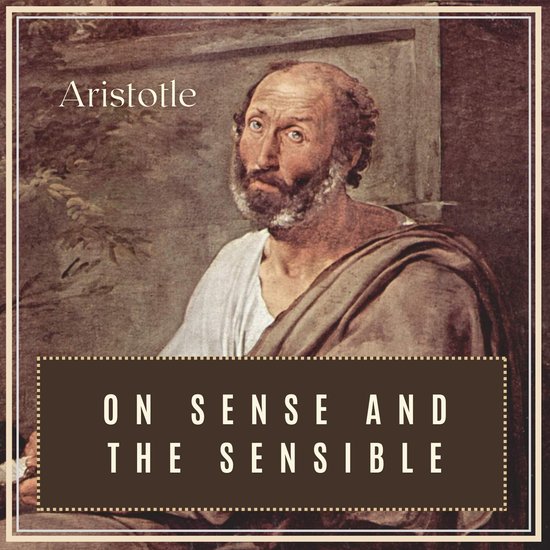 On Sense and the Sensible - cover