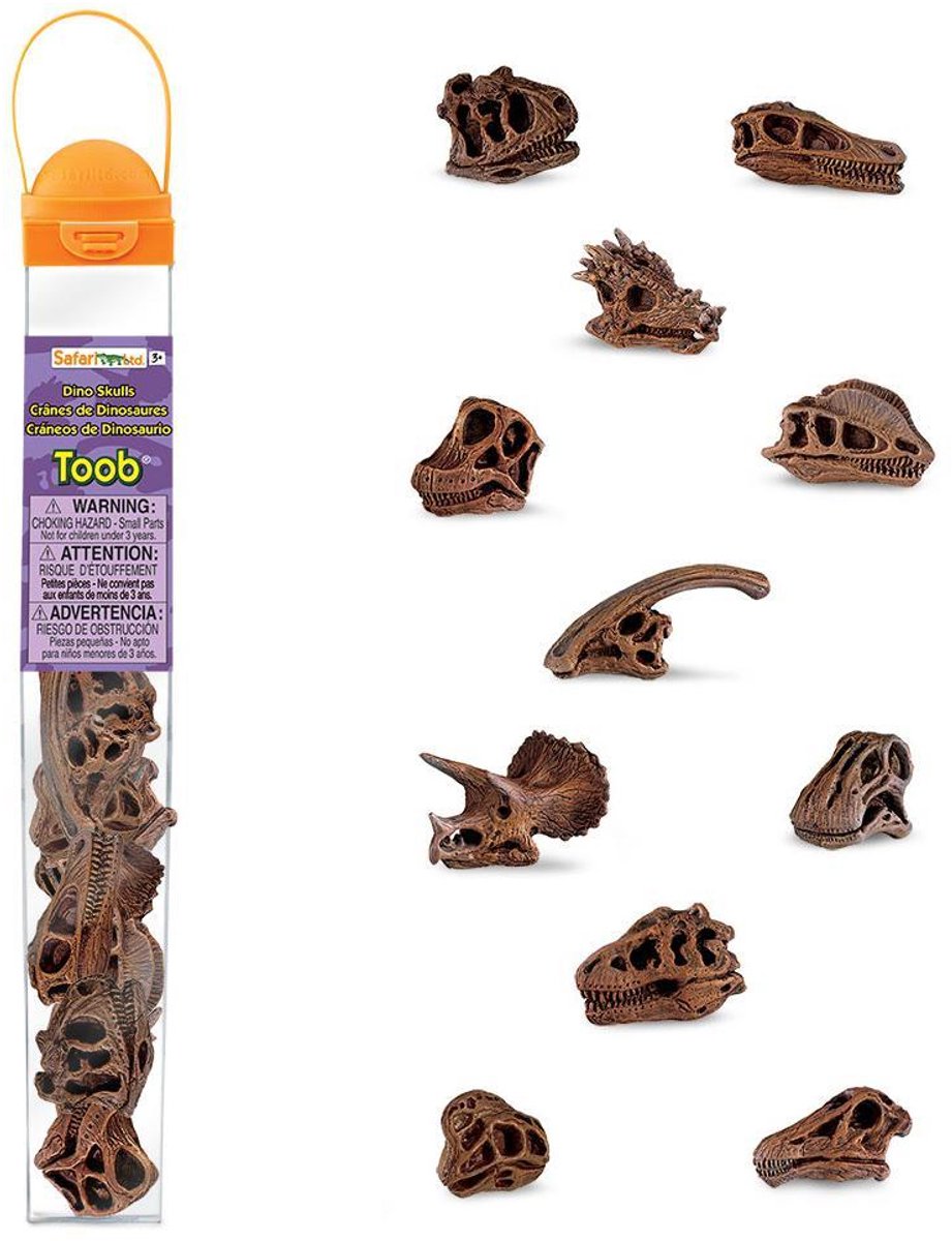 Safari Ltd. | Speelfiguren Dinosaurus Schedels