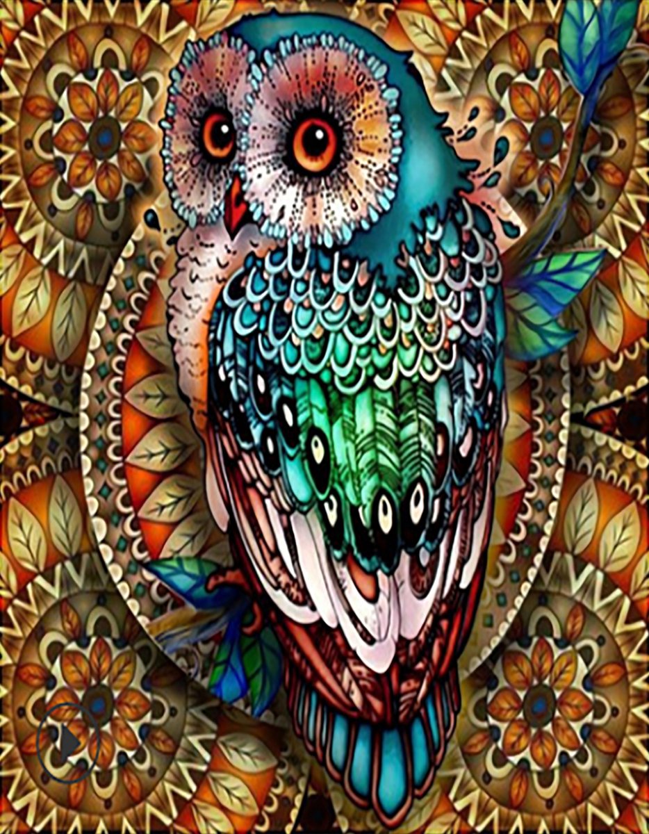 VDTOYS® DIAMOND PAINTING volwassenen - VDT018 - vierkante steentjes - full - groot formaat - nieuwe tekeningen - 45 op 55 cm (canvas) - 40 op 50 (foto)