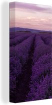 Canvas Schilderij Lavendel - Paars - Bloemen - Natuur - 20x40 cm - Wanddecoratie