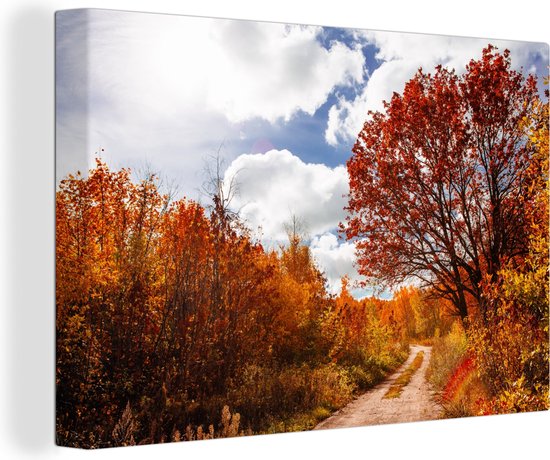 Tableau sur toile Arbre - Chemin - Automne - 30x20 cm - Décoration murale