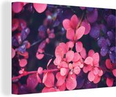 Canvas Schilderij Bloemen - Paars - Natuur - 30x20 cm - Wanddecoratie