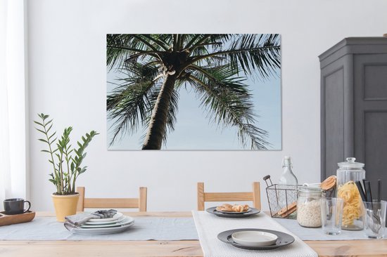 Tableau Sur Toile Palmier – 120x80 Cm – Impression Numérique – Visario – Prêt à Accrocher