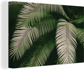 Canvas Schilderij Palmbladeren - Zomer - Tropisch - 120x80 cm - Wanddecoratie