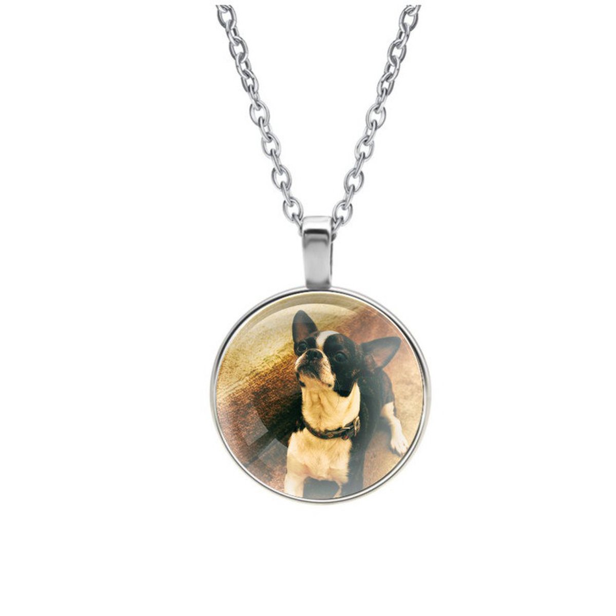 Ketting Glas - Hond