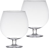 Set van 2x stuks transparante luxe stijlvolle Brandy vaas/vazen van glas 20 cm - Bloemen/terrarium vaas voor binnen gebruik