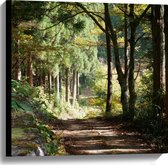 WallClassics - Canvas  - Zandweg in het Bos met Mooie Lichtinval - 60x60 cm Foto op Canvas Schilderij (Wanddecoratie op Canvas)