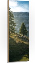 WallClassics - Hout - Twee Boompjes op een Berg - 40x120 cm - 12 mm dik - Foto op Hout (Met Ophangsysteem)
