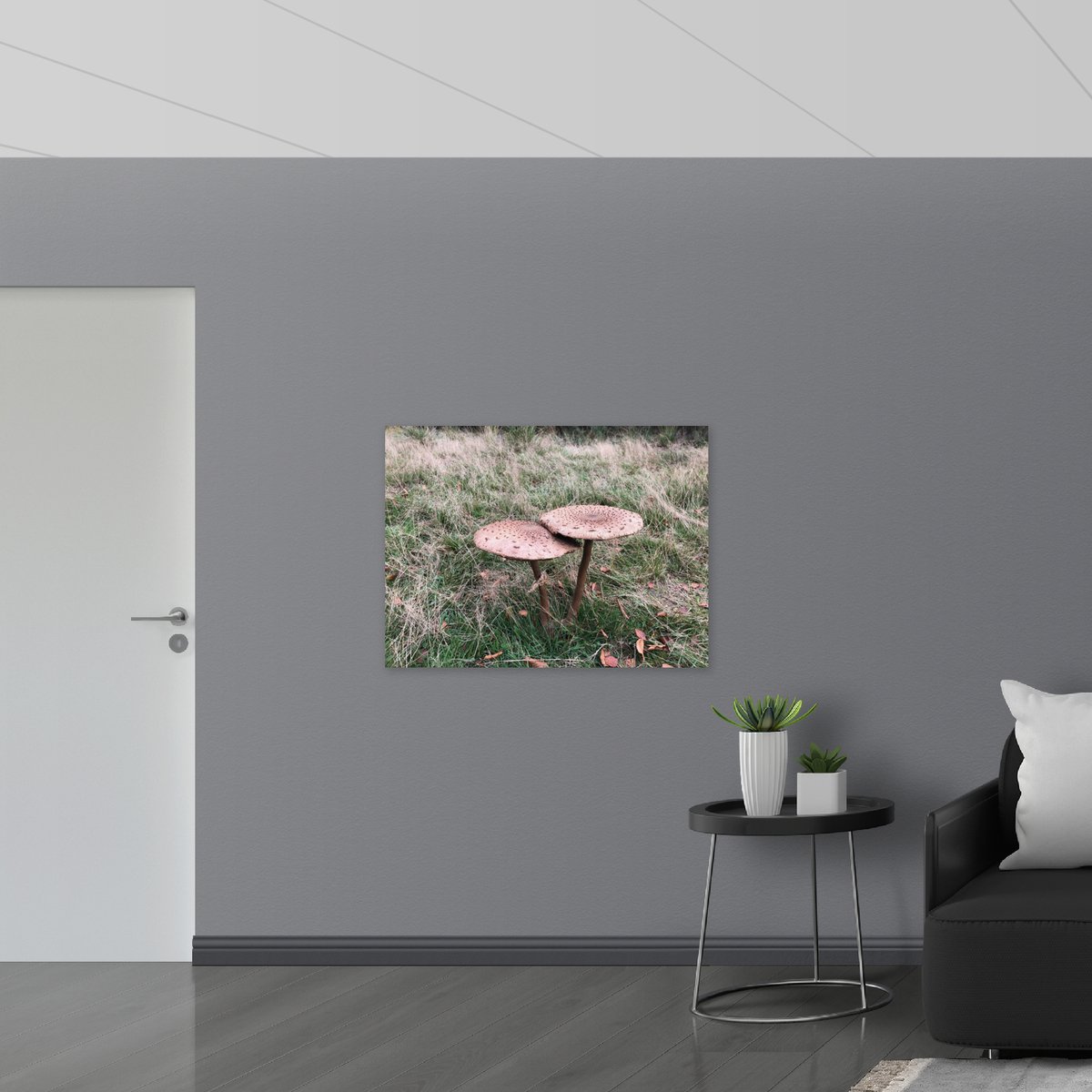 Poster Glanzend – Twee Grote Parasolzwam Paddenstoelen - 100x75 cm Foto op Posterpapier me