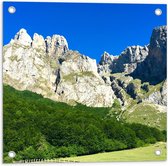 WallClassics - Tuinposter – Hoge Groene Bergen - 50x50 cm Foto op Tuinposter  (wanddecoratie voor buiten en binnen)