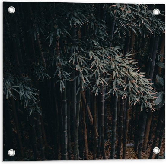 WallClassics - Tuinposter – Donkere Bamboe Bomen - 50x50 cm Foto op Tuinposter  (wanddecoratie voor buiten en binnen)