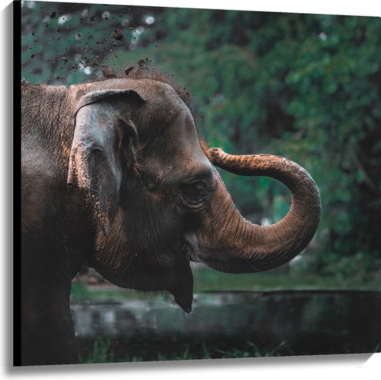 WallClassics - Toile - Éléphant jouant avec du Sable - 100x100 cm Tableau sur toile (Décoration murale sur toile)