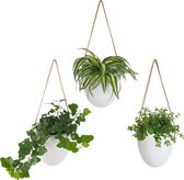 Gadgy en céramique - Set de 3 - Wit - Pots suspendus - Pot de fleur / pot de fleurs suspendu - Comprend 3 cordons différents avec sac de rangement - 12 x 11 x 9,5 cm