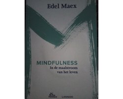 Mindfulness, In de maalstroom van hetleven