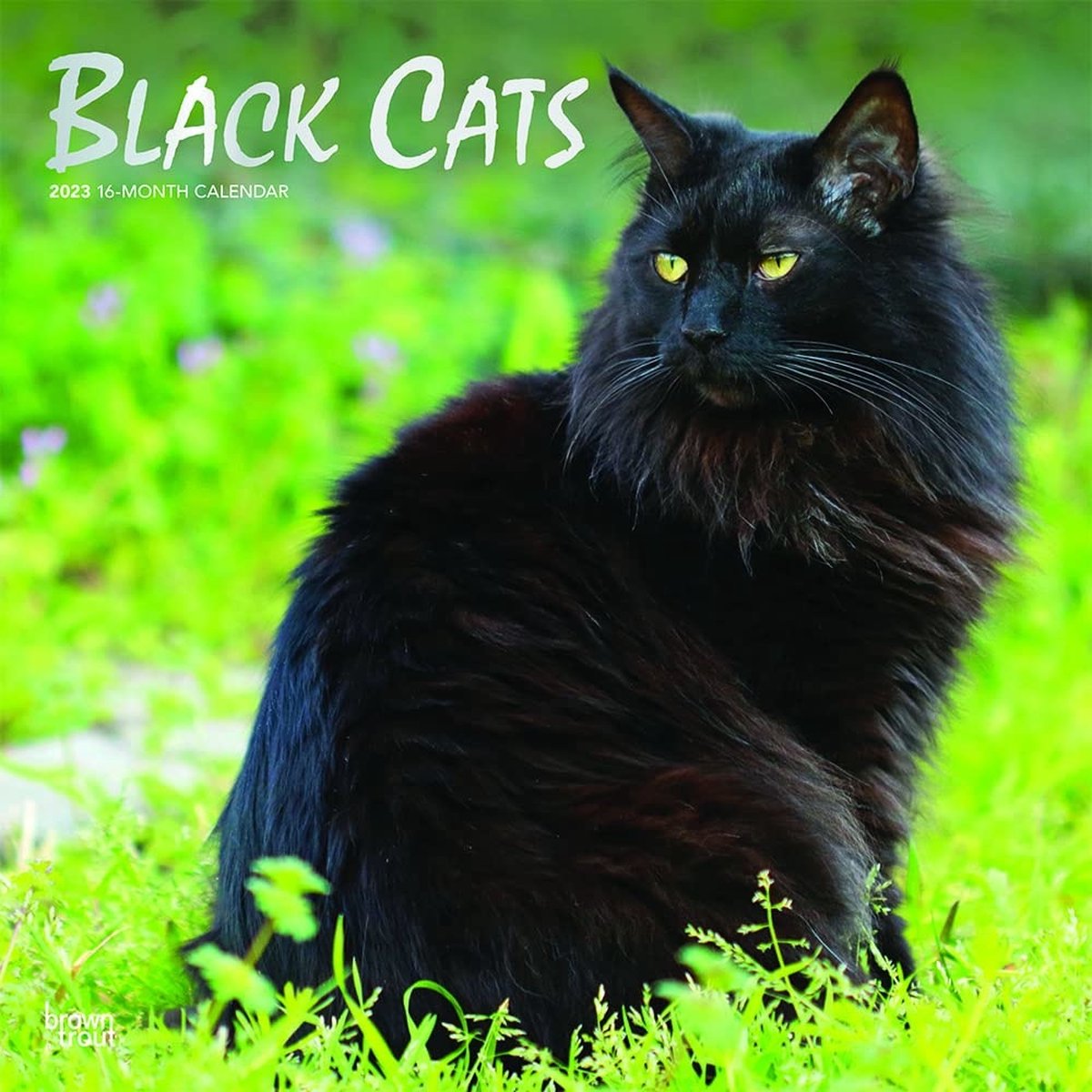 Zwarte Katten Kalender 2023